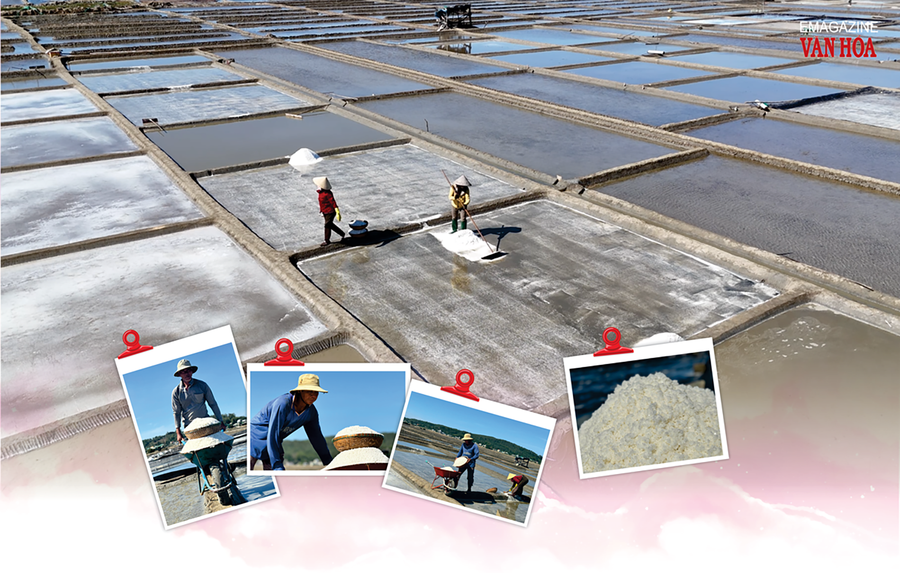 (Emagazine) Đánh thức lợi thế “rừng – biển”, Quảng Ngãi tăng lực hút đầu tư du lịch – dịch vụ