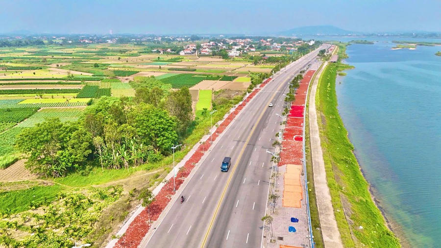 Áp lực tiêu thụ khiến nhiều hộ dân buộc phải chuyển sang phương án phơi khô để giảm thiệt hại. Dọc tuyến đường Trường Sa ven sông Trà Khúc, hàng loạt vỉa hè được tận dụng làm nơi phơi ớt, kéo dài hàng km, tạo nên một “dải đỏ” đặc trưng