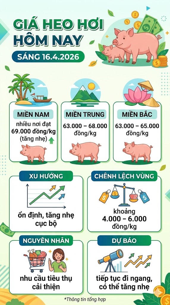Giá heo hơi hôm nay 16.4: Xuất hiện tín hiệu tăng cục bộ