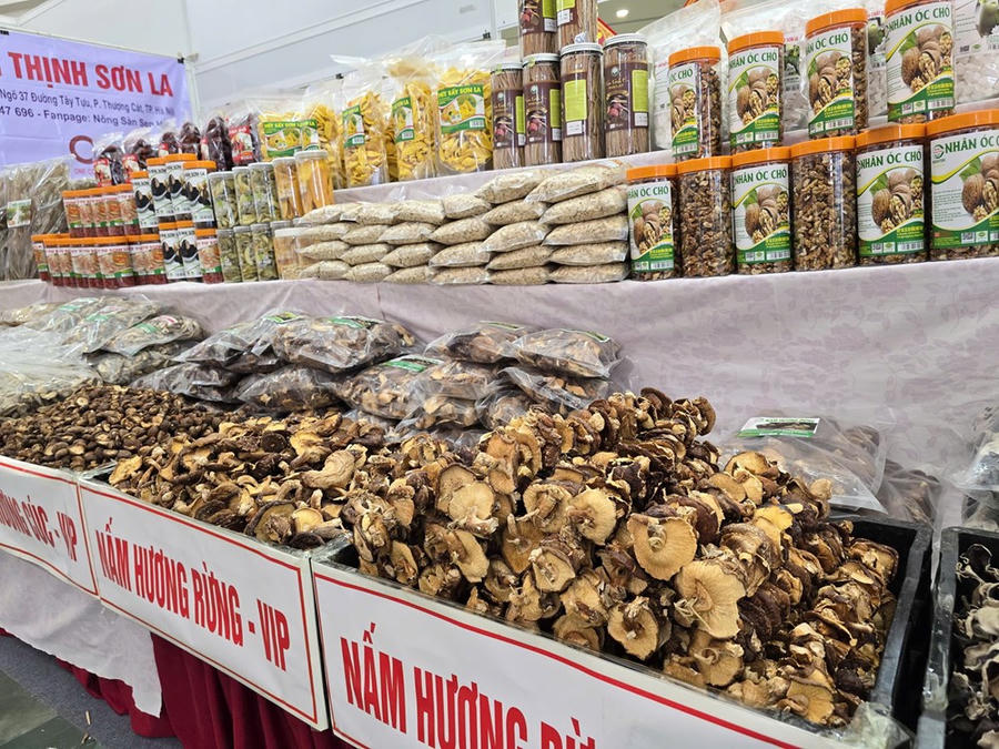 Hội chợ Mùa Xuân 2026: Doanh nghiệp “hái quả ngọt” doanh thu từ nông sản Việt