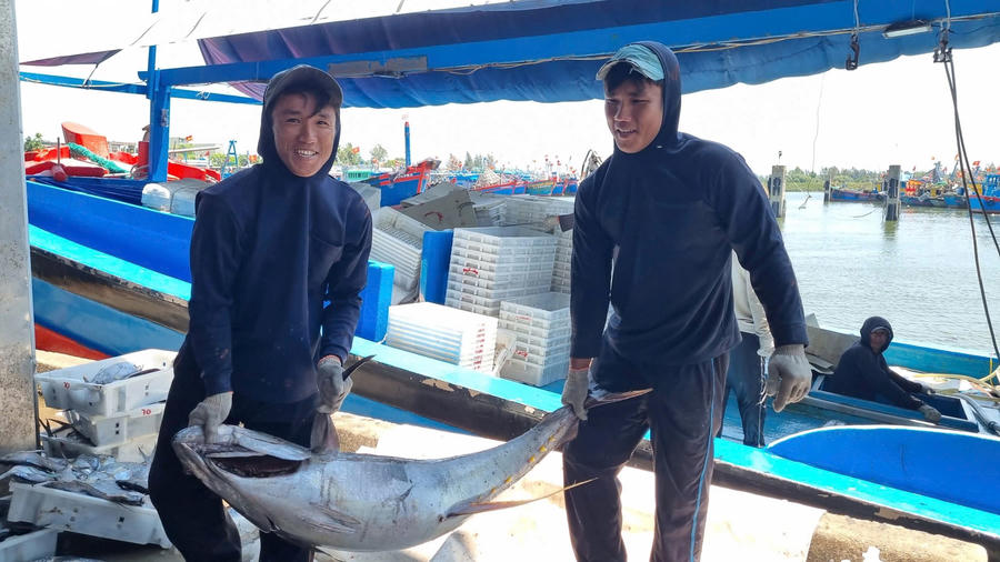 Tàu cá Quảng Ngãi bội thu hải sản, ngư dân phấn khởi sau chuyến biển xa - ảnh 9