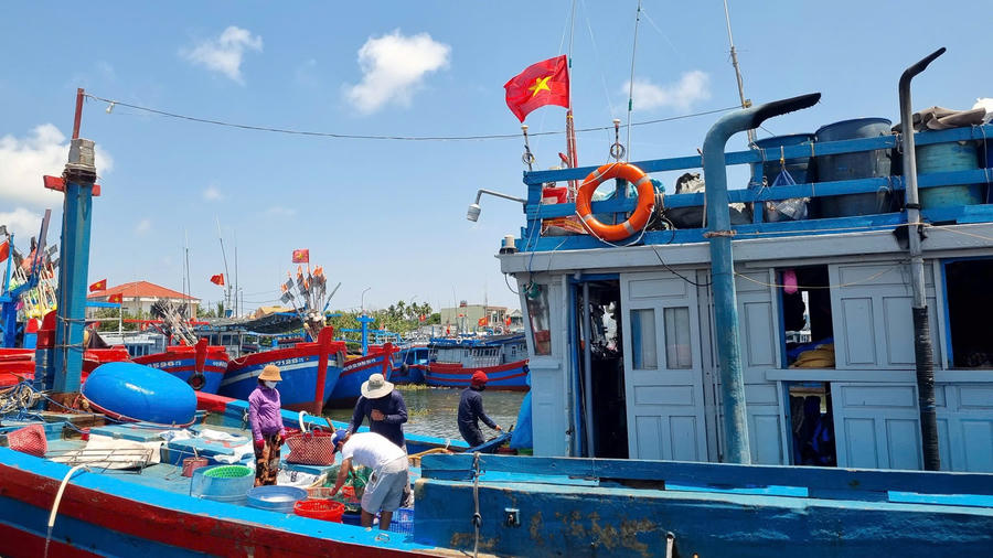 Tàu cá Quảng Ngãi bội thu hải sản, ngư dân phấn khởi sau chuyến biển xa - ảnh 10
