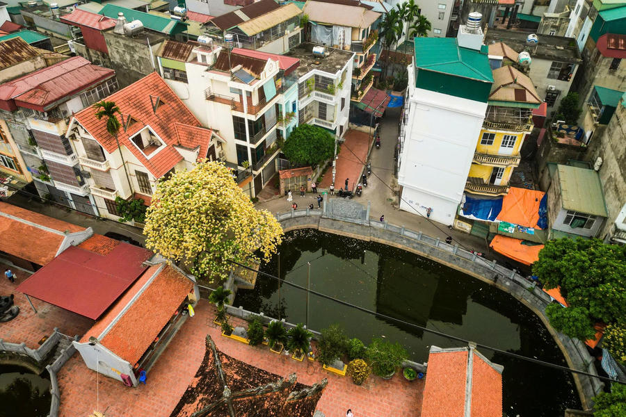 Giữa không gian tĩnh lặng của chùa Hà Trì, mùa hoa bún nở rộ như tô điểm thêm vẻ nên thơ cho làng quê ven đô, khi sắc trắng tinh khôi in bóng xuống mặt ao, khiến khung cảnh giao mùa càng thêm phần đặc biệt