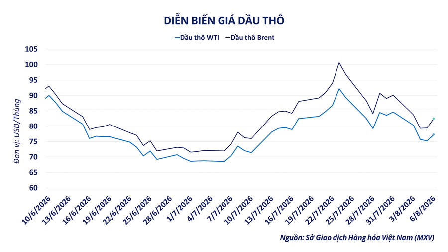 anh-2_-dien-bien-gia-dau-tho.png