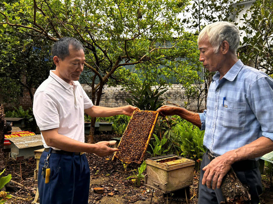 o-canh-2.jpg