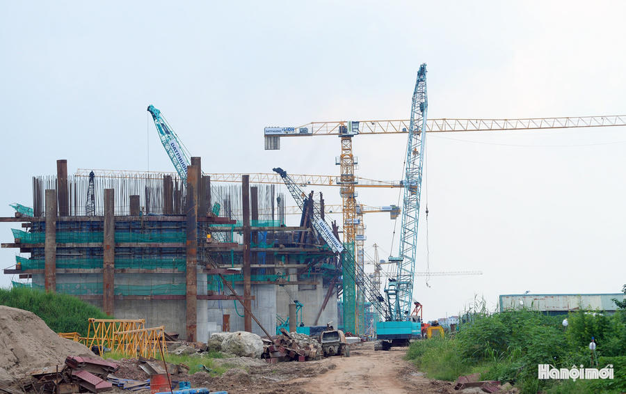 W_cau-hong-ha-8.jpg