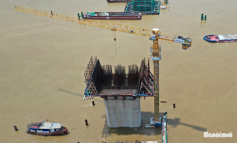W_cau-hong-ha-3.jpg